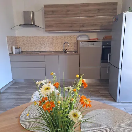 Apartma Maks & Anita شقة