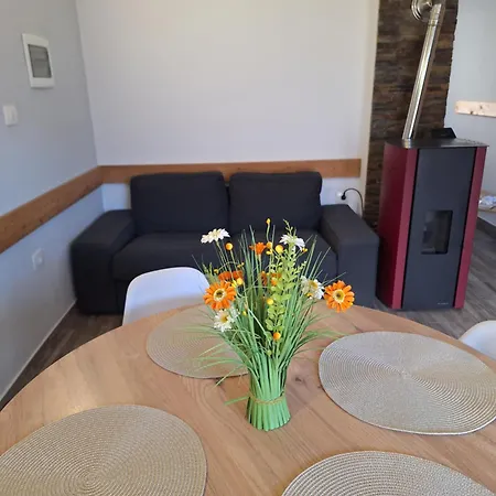 Apartma Maks & Anita *