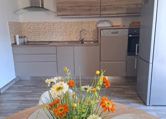 Apartma Maks & Anita דירה