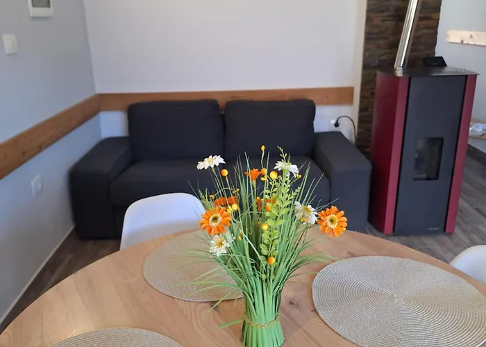 Apartma Maks & Anita *